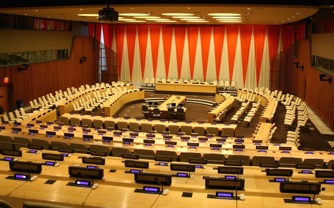 Meet ECOSOC AMUN