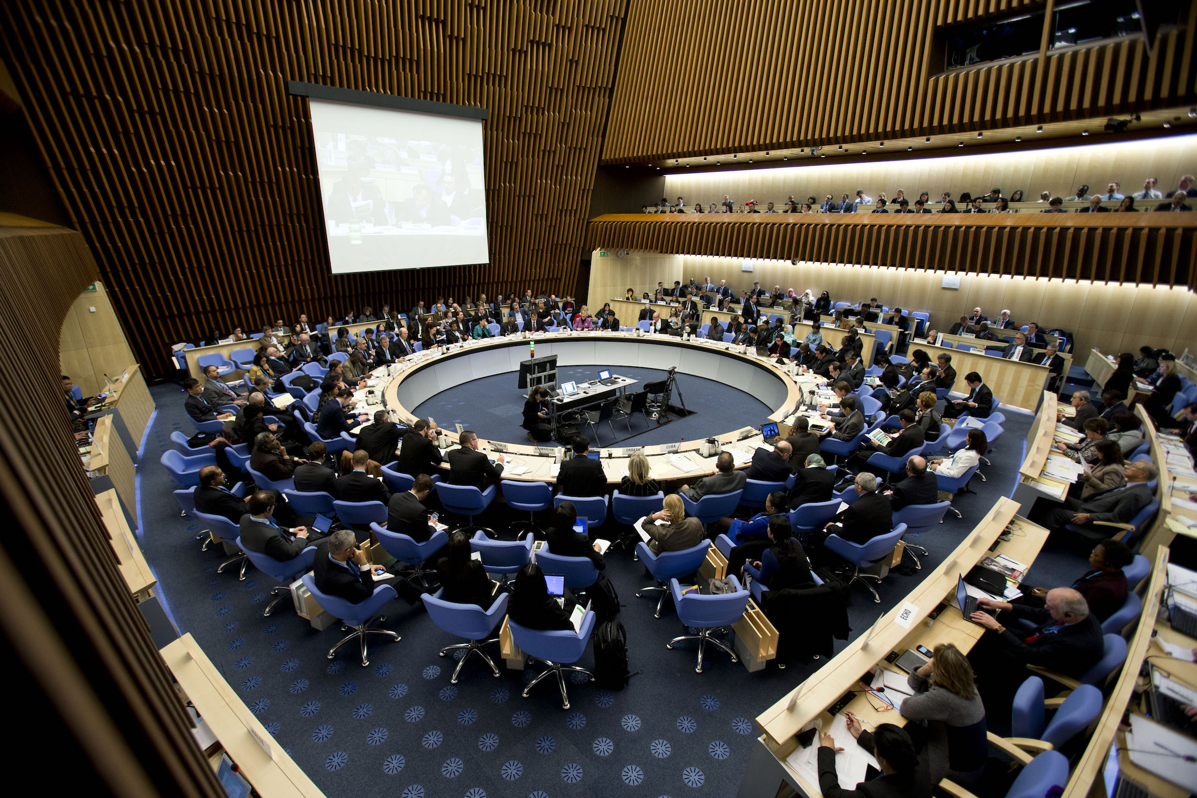 Meet the World Health Organization AMUN