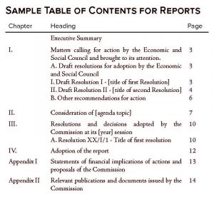 United Nations Documents Amun